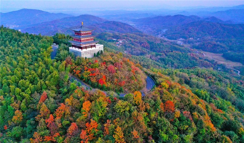固始婚庆公司的选购指南