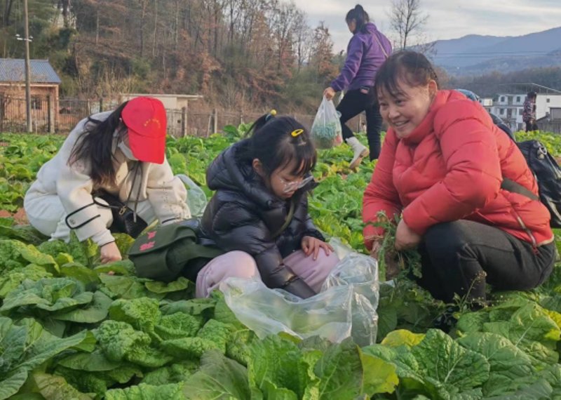 固始婚宴酒店选购指南：打造梦幻婚礼
